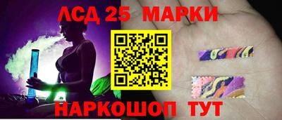 индика Обь