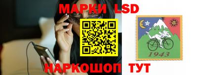 индика Обь