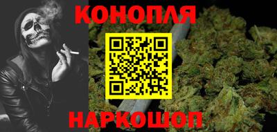 индика Обь