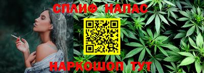 индика Обь