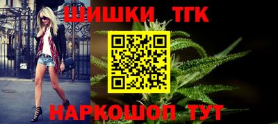индика Обь
