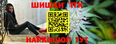 индика Обь