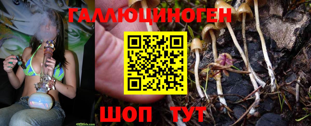 Галлюциногенные грибы Magic Shrooms Фролово