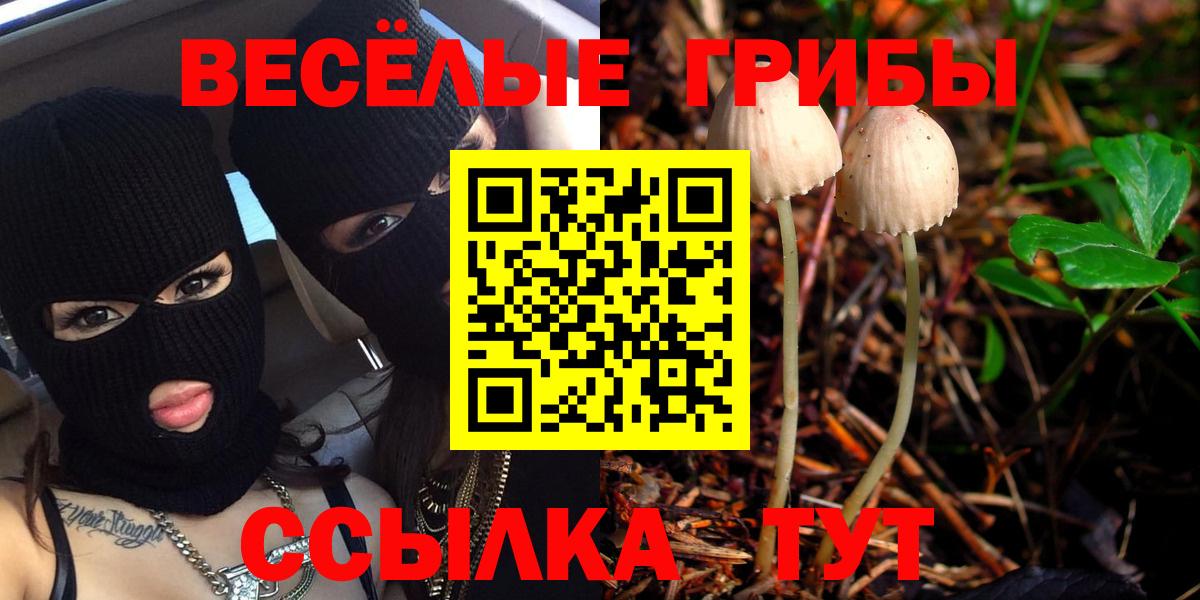Галлюциногенные грибы мухоморы  Вход с VPN  Фролово 